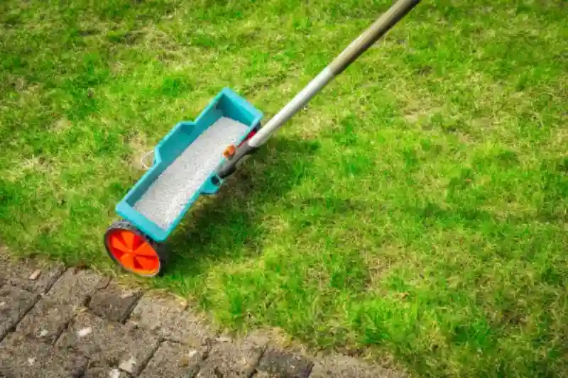 Professional Lawn Fertilization Service in League City, TX 