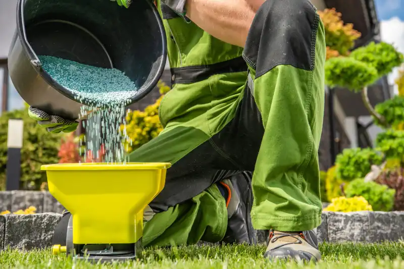 Professional Lawn Fertilization Service in League City, TX 