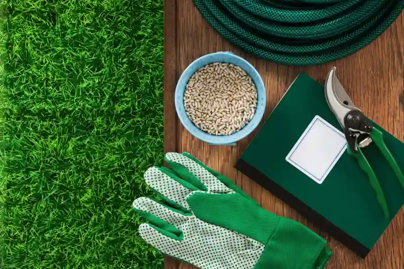 Lawn Fertilization Services