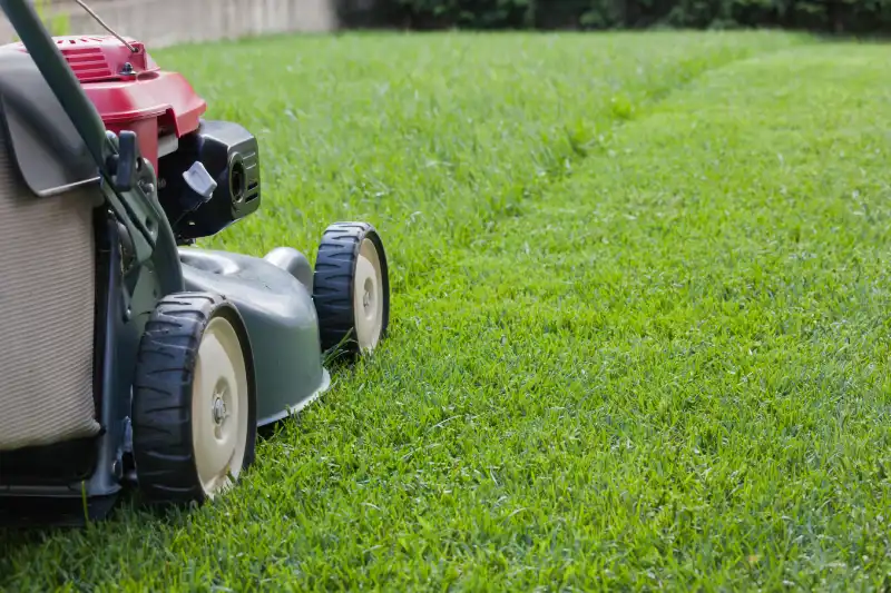 Outstanding Lawn Mowing Services in League City, TX 