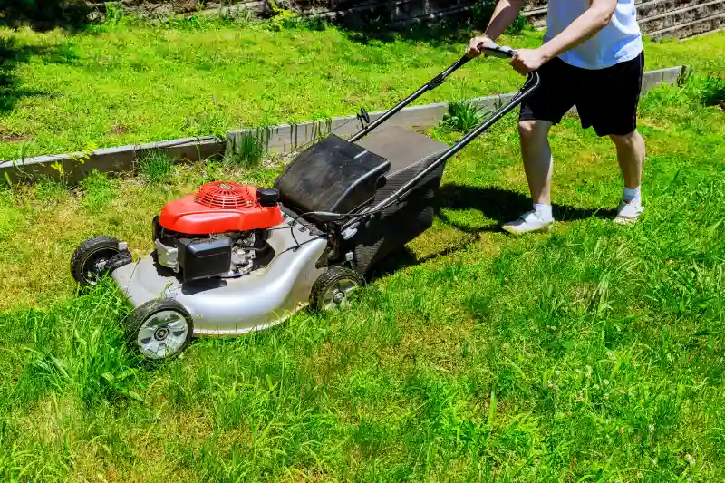 Lawn Mowing Services