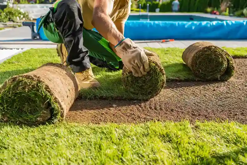 Reliable Sod Installation Service in League City, TX 