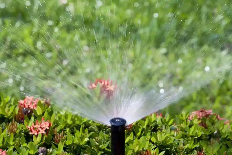 Yard Irrigation Installation Services